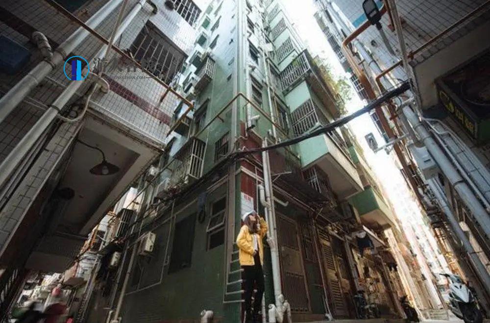 小姐研究二十年,学习,管理,微信,教育,理解,第2张