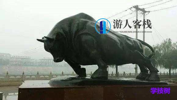 《铁牛持久力锻炼课程》
