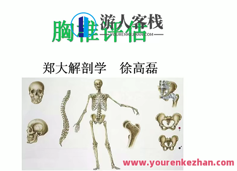 郑大解剖学人体姿势评估与解剖学分析（进阶）