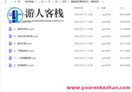 赛维舒压冥想系列（8集视频） 百度云盘分享,学习,第1张