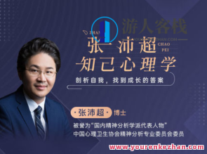 张沛超-心理治疗的13个核心主题百度搜索云盘分享,课程,影视,目标,第1张