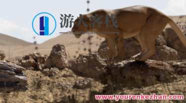ianimate creature workshop生物动画课合集百度云盘分享