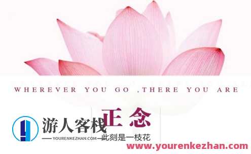 夏鹏【正念-此时是一支花】精读课百度云盘分享