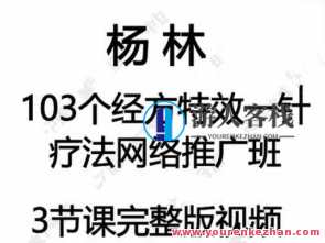 杨林103个经方特效一针疗法百度云盘分享,课程,影视,第1张