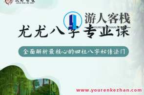 众妙学堂 尤尤《八字专业课》,课程,专业,定位,第1张