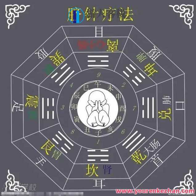 脐针简单无痛 根据肚脐眼看身体素质，解读各种脐形