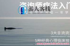 心理咨询技术与疗法入门百度云盘分享