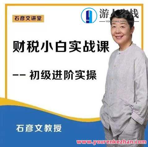财稅小白实战课 财务会计实操【石彦文讲财税】_石彦文讲财税百度云盘分享