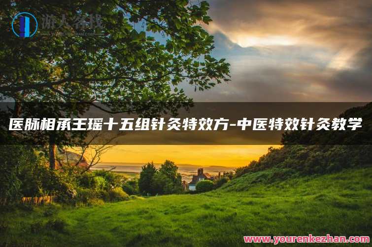 【针灸教学】医脉相承王瑶十五组针灸特效方-中医针灸百度云盘分享