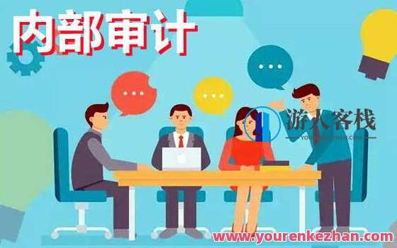 《企业内部审计讲解》视频百度云盘分享,课程,管理,风险管理,第1张