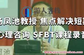杨凤池教授 焦点解决短期心理咨询 SFBT课程录音百度云盘分享