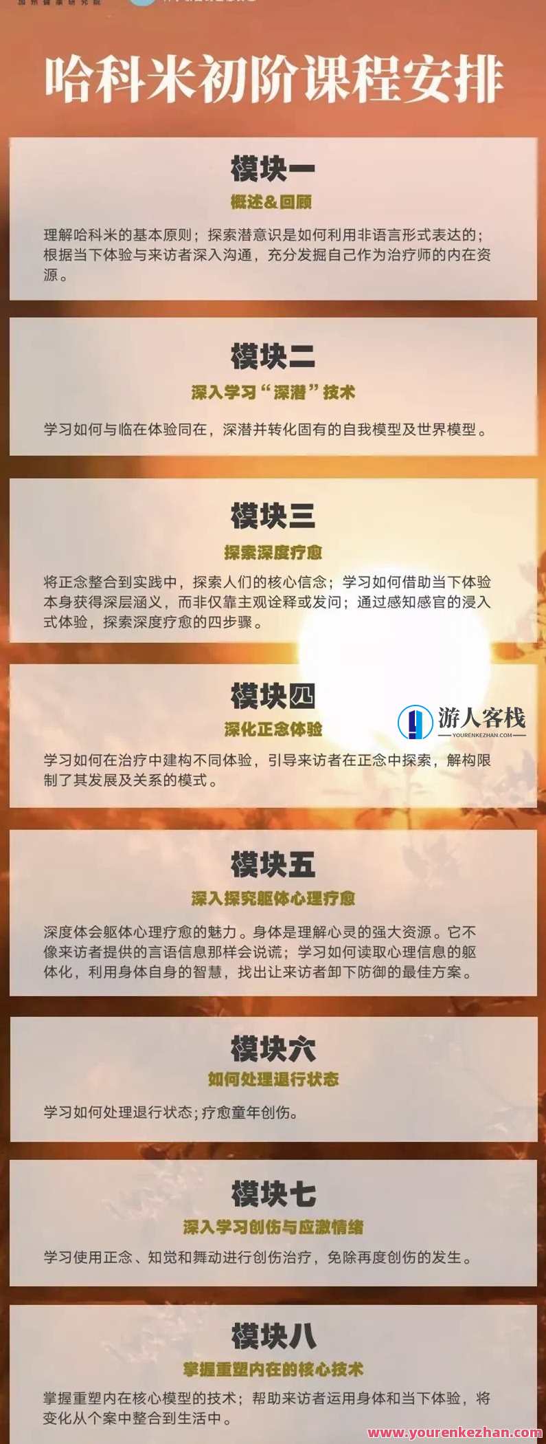 哈科米专业培训（初阶）八模块【录播课+直播课】