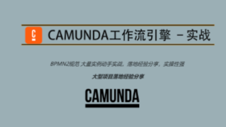 Camunda高级实战培训系列教程百度云盘分享