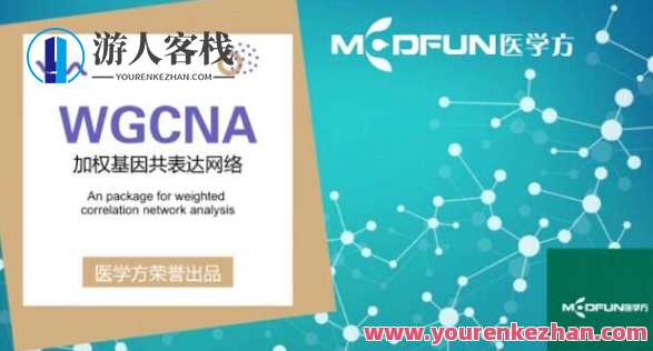 豪斯医生数据挖掘之WGCNA详解百度云盘分享