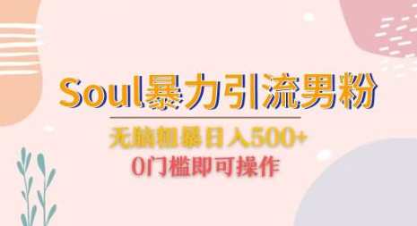 Soul暴力引流男粉玩法，无脑粗暴日入500＋，0门槛即可操作