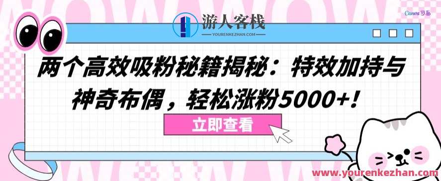 两个高效吸粉秘籍揭秘：轻松涨粉5000+,第1张