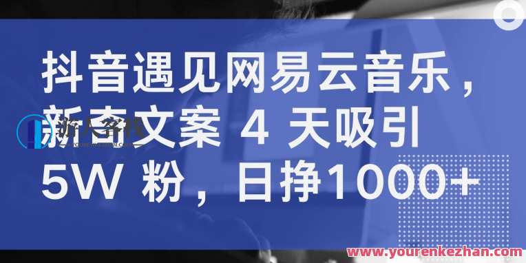 抖音遇见网易云音乐，新奇文案 4 天吸引 5W 粉日挣1000+,第1张