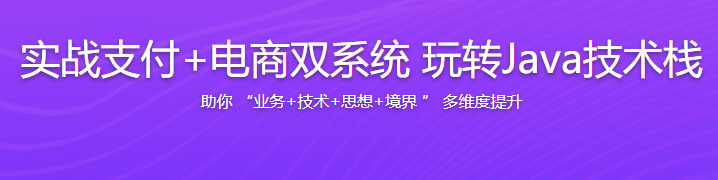 实战支付+电商双系统 玩转Java技术栈教程,课程,电商,支付,电子商务,第1张