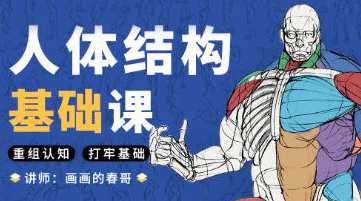 春哥人体结构基础课第13期,课程,第1张