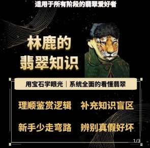林鹿的翡翠知识，​用宝石眼光，系统全面的看懂翡翠,课程,直播,专业,理解,第1张