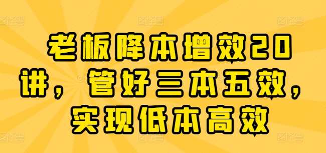 老板降本增效20讲，管好三本五效，实现低本高效,管理,发展,竞争,合作,成长,领导,第1张