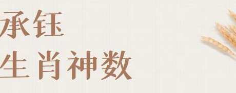 承钰《生肖神数》