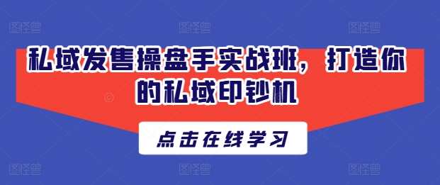 私域发售操盘手实战班，打造你的私域印钞机,课程,专业,第1张