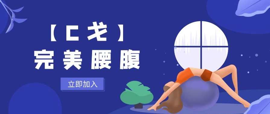 【C戈】完美腰腹,课程,专业,第1张