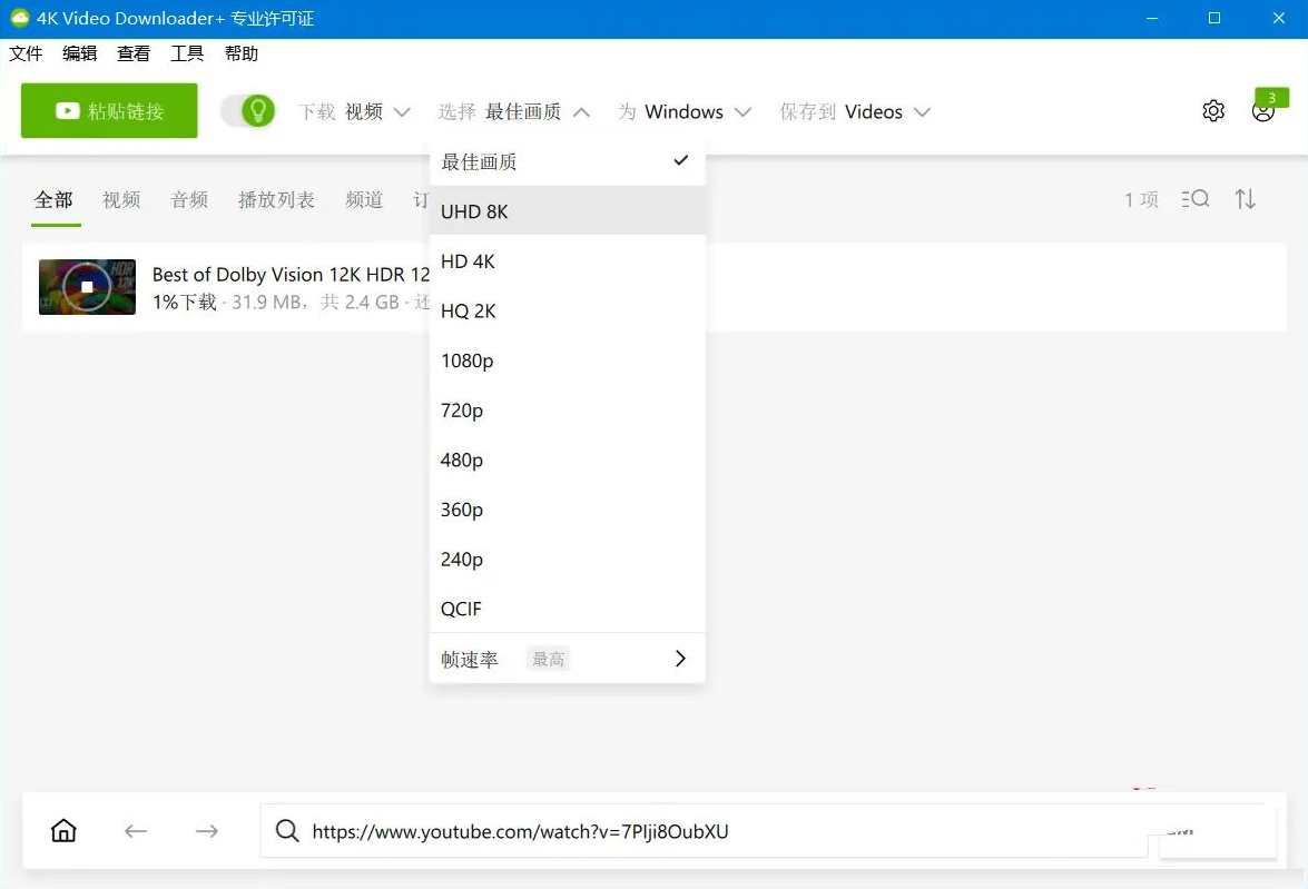 4K Video Downloader+ v1.7.0.0096破解版,支持,第3张