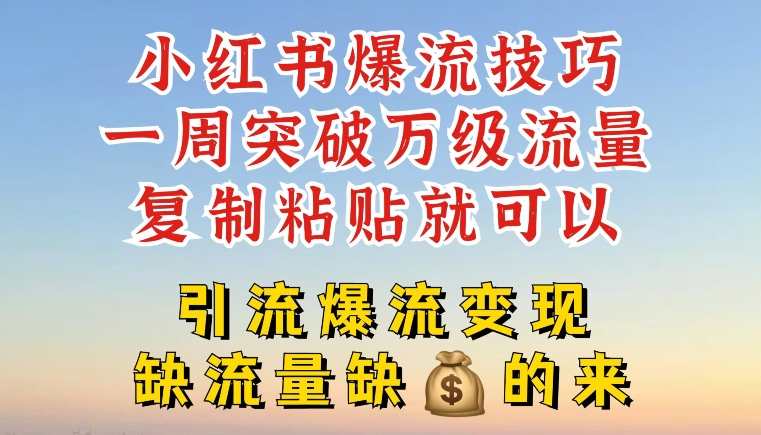 小红书爆流技巧，一周突破万级流量，复制粘贴就可以，引流爆流变现【揭秘】,课程,学习,第1张