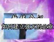 杜云生全集-杜云生《如何建立强大的企业》企业管理培训