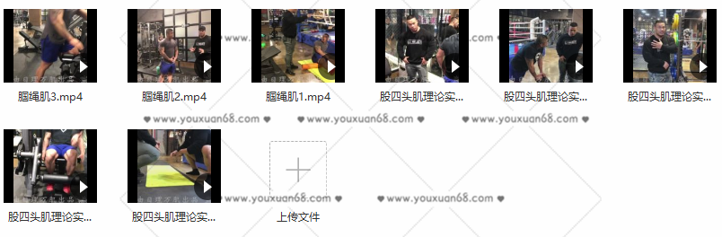 彭彬股四腘绳理论实操 健身课程,课程,健身,第2张