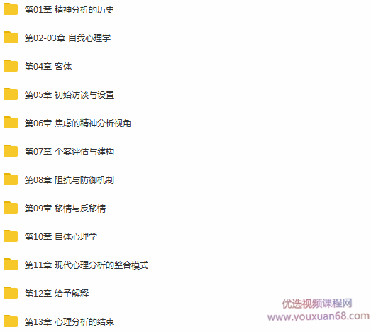 钟杰博士精神分析治疗的理论与实践网络版讲座视频,第2张