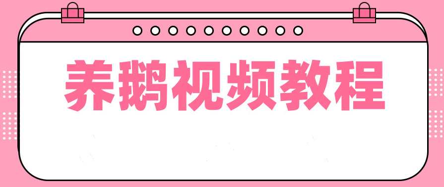 养鹅技术视频教程,第1张