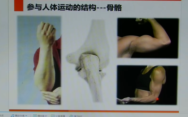 李'哲'讲《脊椎解剖》脊椎骨功能视频13集