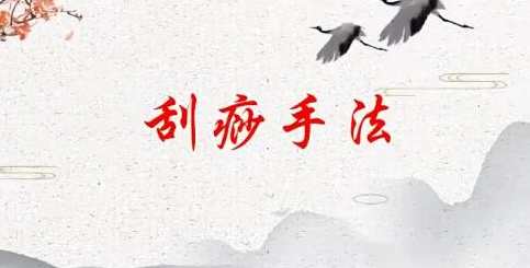 刘霞新版人体十二部刮痧视频课程13集