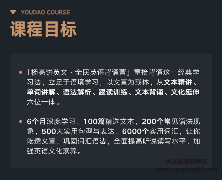 有道 杨亮讲英文 全民英语背诵营2020（第四季完结）【价值6999】,学习,理解,第4张