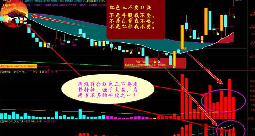 红色三不要+黑牛战法+红色成交量和红色macd指标