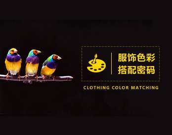 服饰色彩 怎样寻找到属于自己的色彩搭配密码？