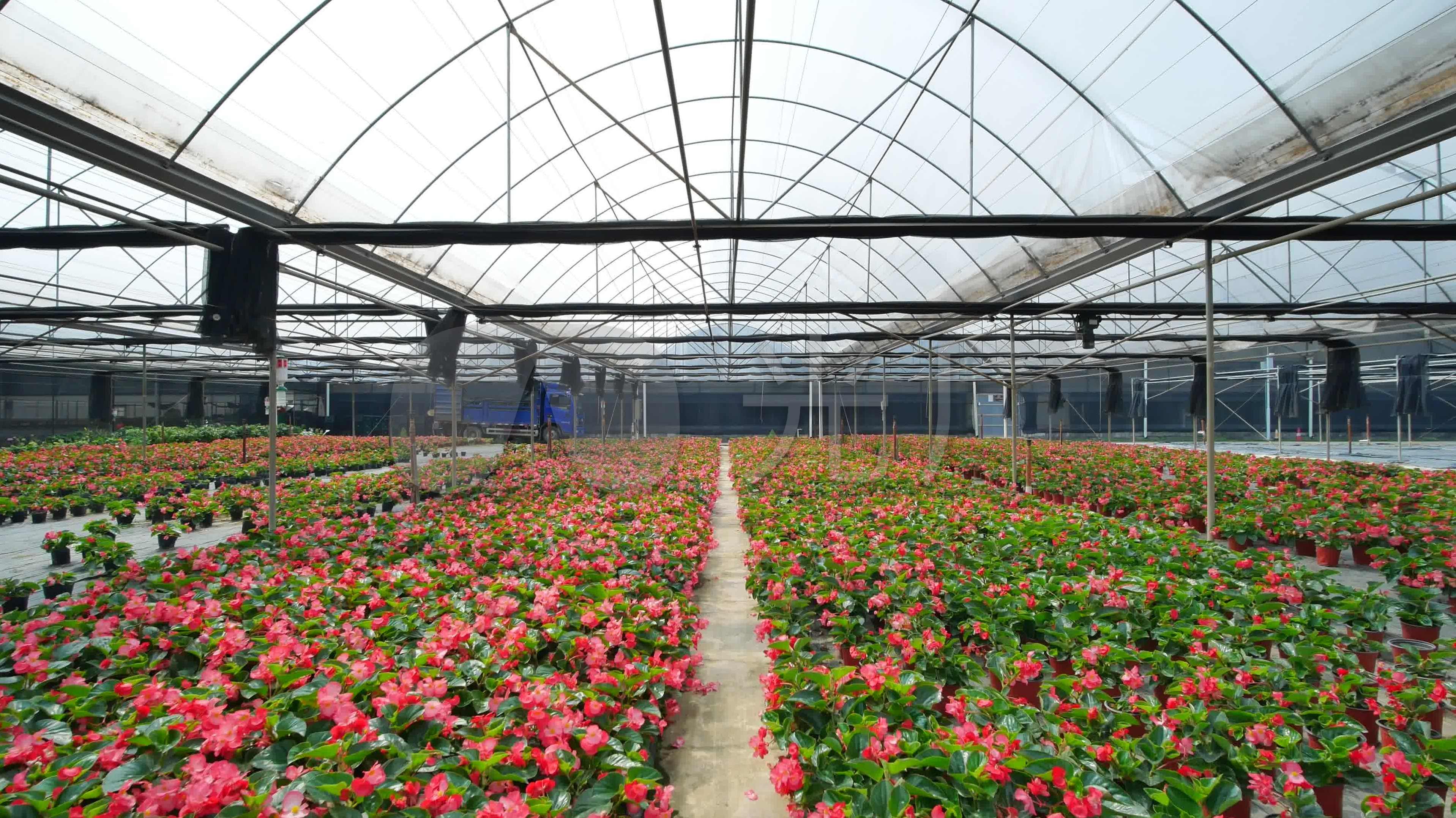 花卉栽培教程视频 养花视频教程合集共4部 自学养花植物盆栽,第1张