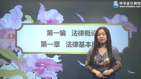 苏苏基础班-中华CPA经济法-2014年注册会计师