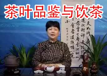 刘秋萍 茶叶品鉴与饮茶