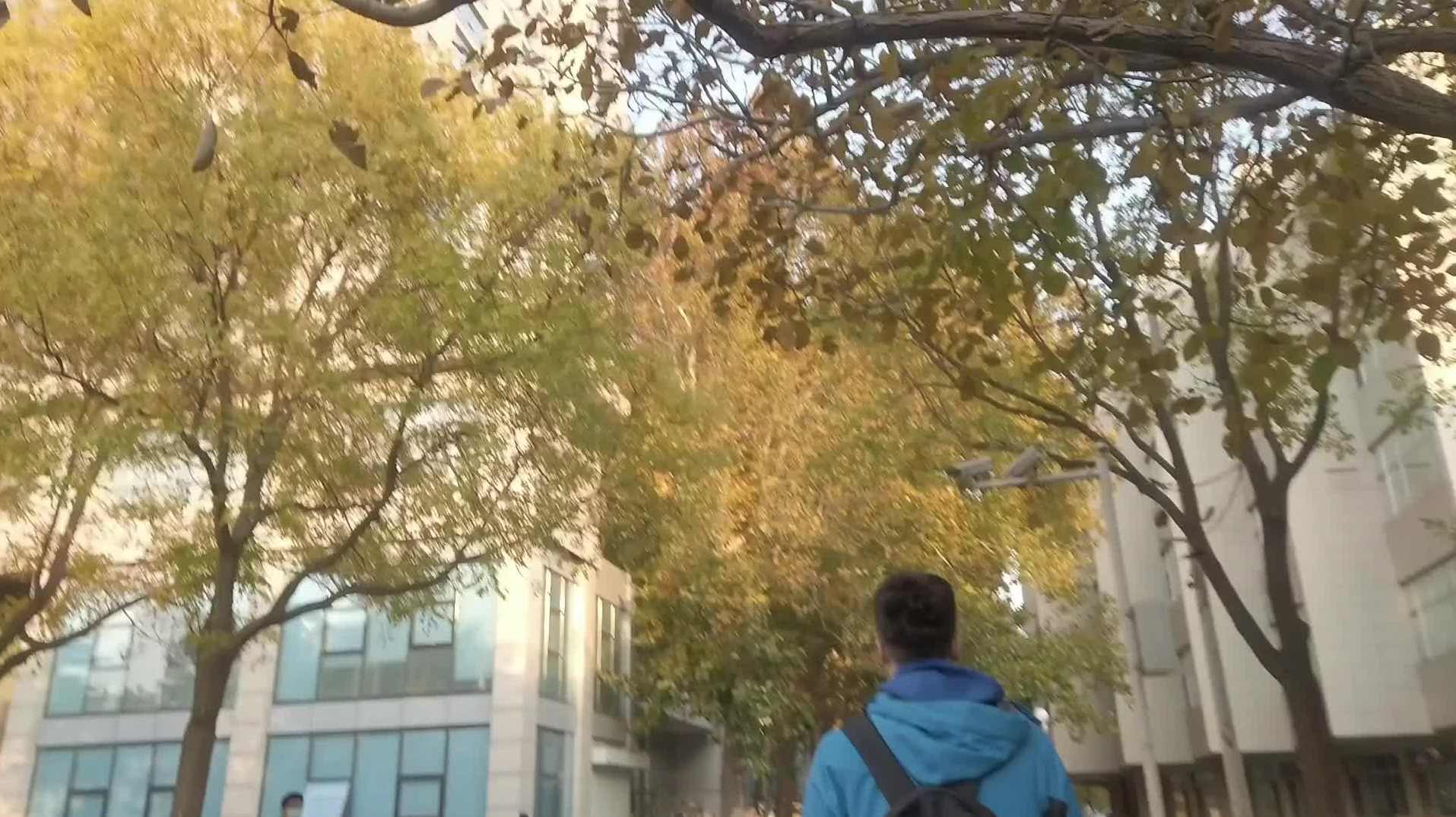 郇中丹 北京师范大学《数学分析》全233讲,第1张