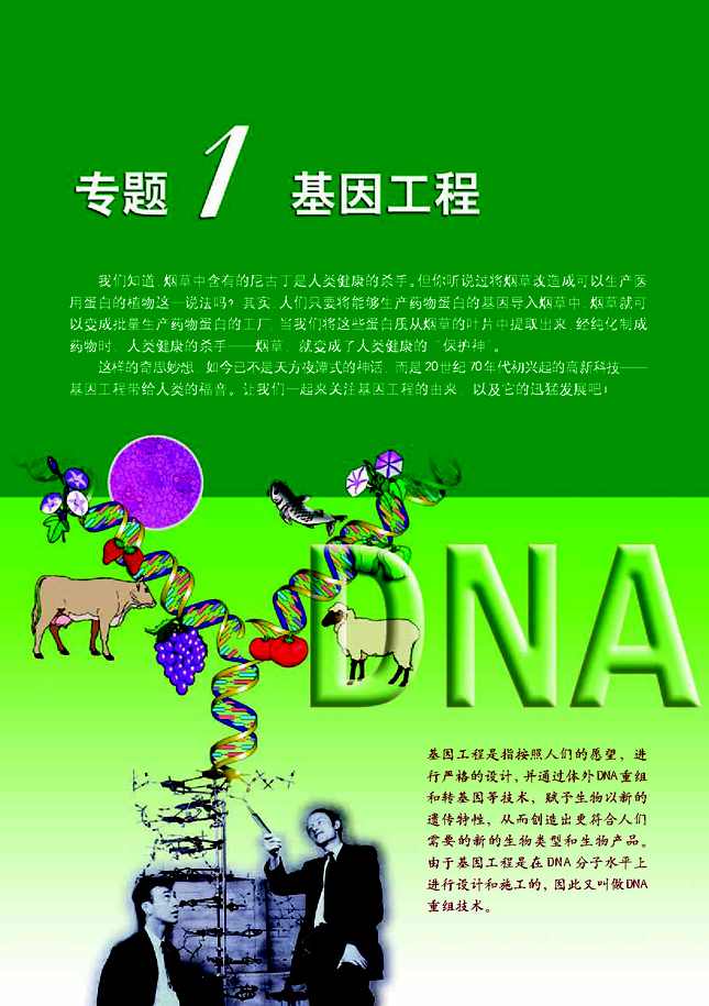高中生物 生物选修3：基因工程全3讲