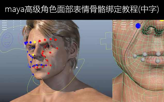 《Maya面部表情动画技术训练教程》,影视,视觉效果,第1张