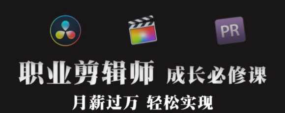 职业剪辑师-成长大班【画质还行有素材】