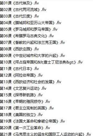 部编版初中九年级历史上册课堂同步辅导网课教学视频全集(张胜利老师 21课),课程,学习,第2张