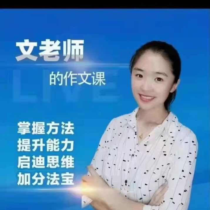 文老师作文课-小学语文3456年级写作提升训练技巧