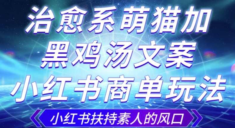 治愈系萌猫加+黑鸡汤文案，小红书商单玩法，3~10天涨到1000粉，一单200左右
