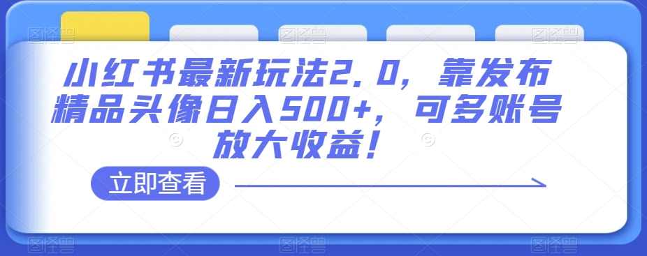 小红书最新玩法2.0,靠发布精品头像日入500+,可多账号放大收益!【揭秘】,课程,学习,坚持,第1张 小红书最新玩法2.0,靠发布精品头像日入500+,可多账号放大收益!【揭秘】,课程,学习,坚持,第1张